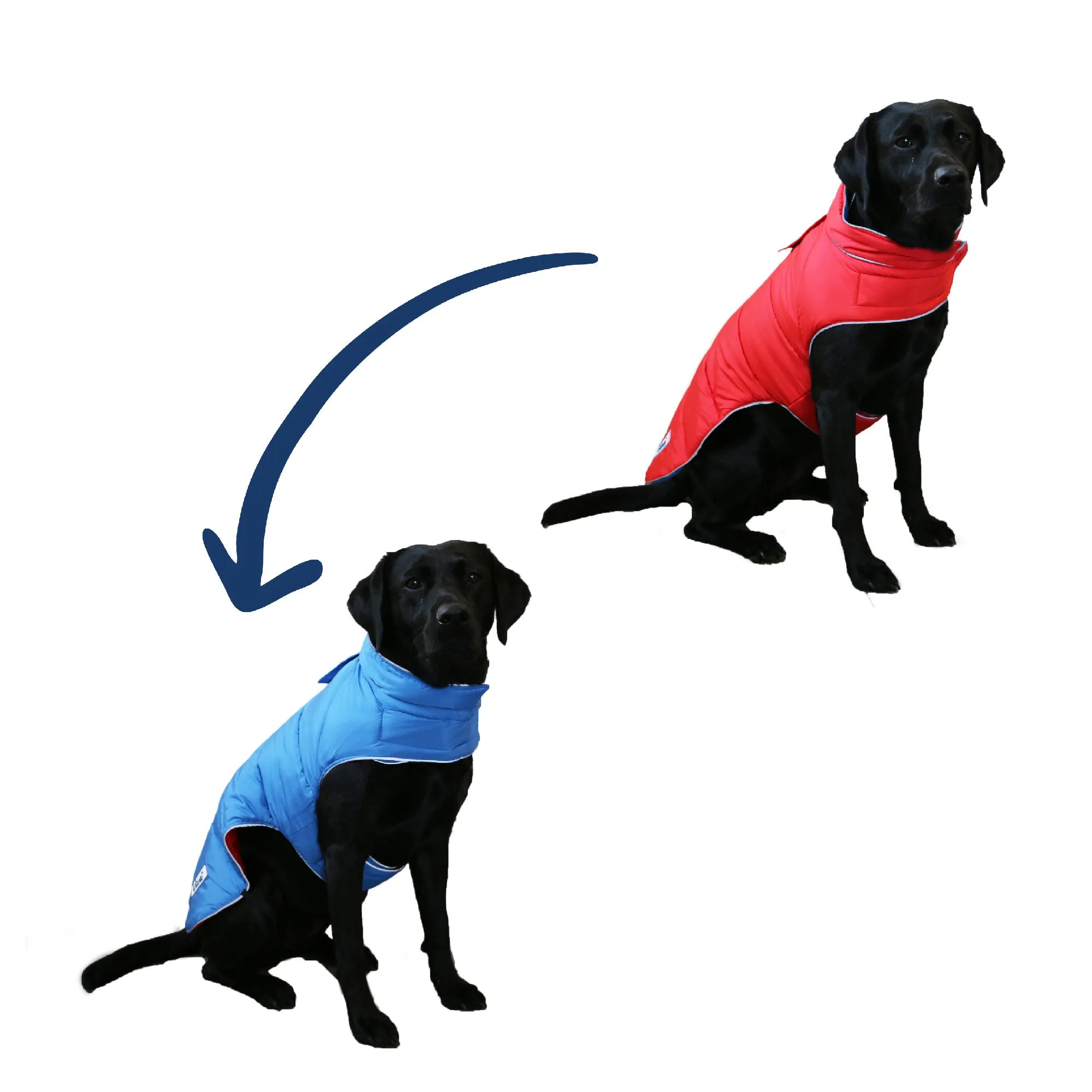 Ancol Viva Reversible Dog Coat