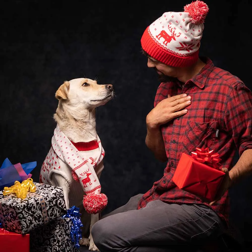 Christmas Reindeer Family Matching Sweater in Festive Red