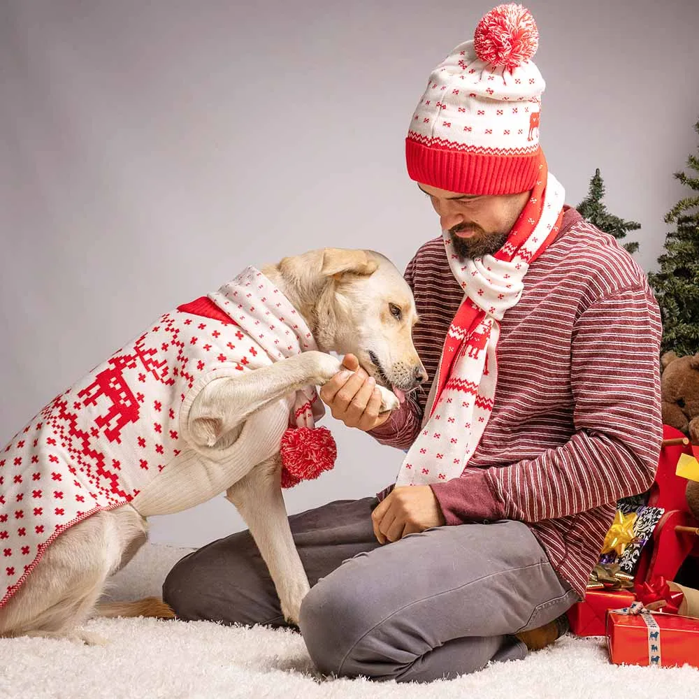 Christmas Reindeer Family Matching Sweater in Festive Red