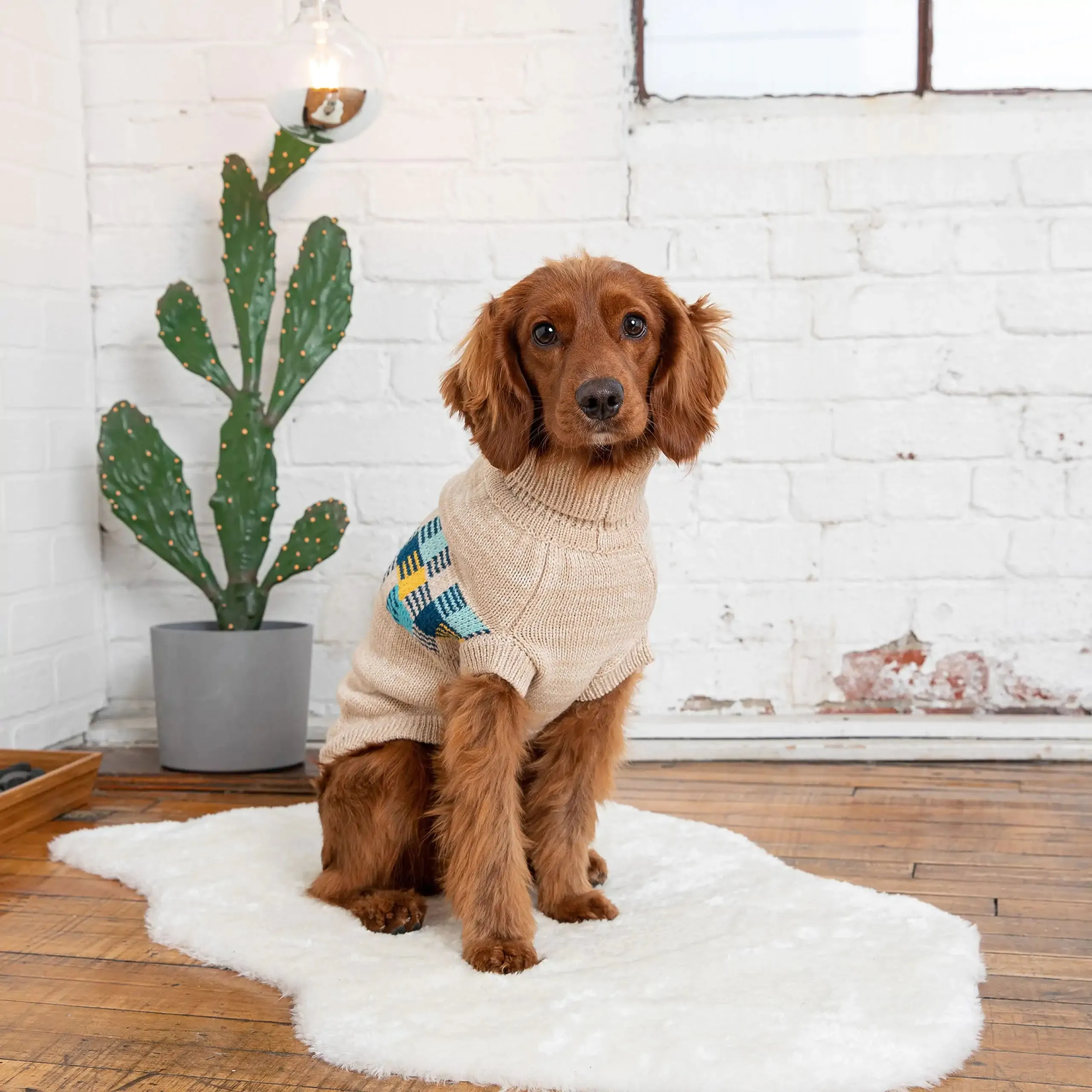 Comfy Winter Sailor Dog Sweater - Oatmeal Mix