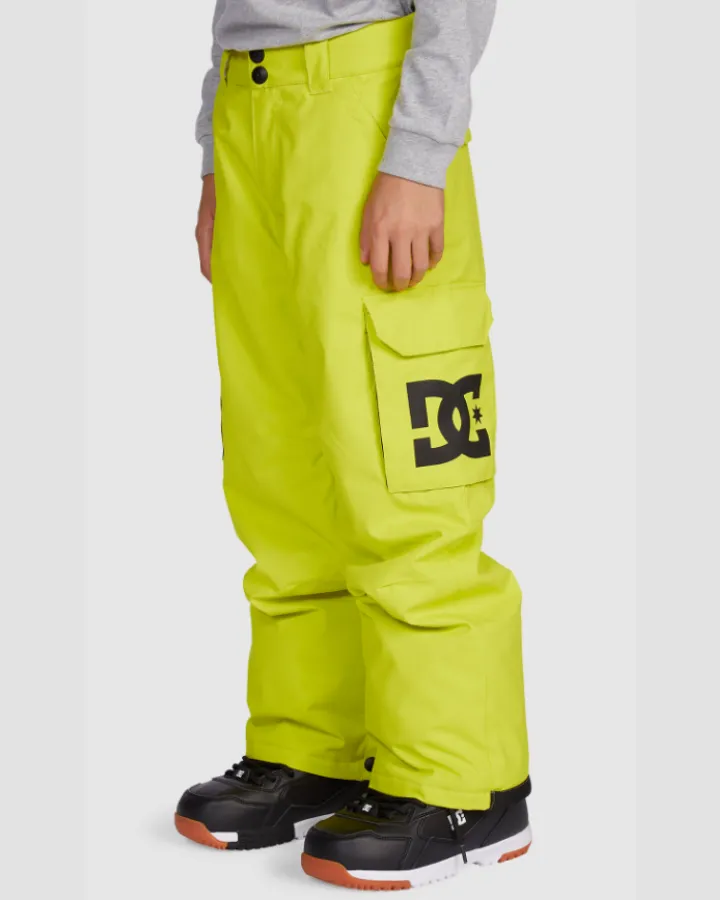 Dc Banshee Youth Pant - Sulphur Spring