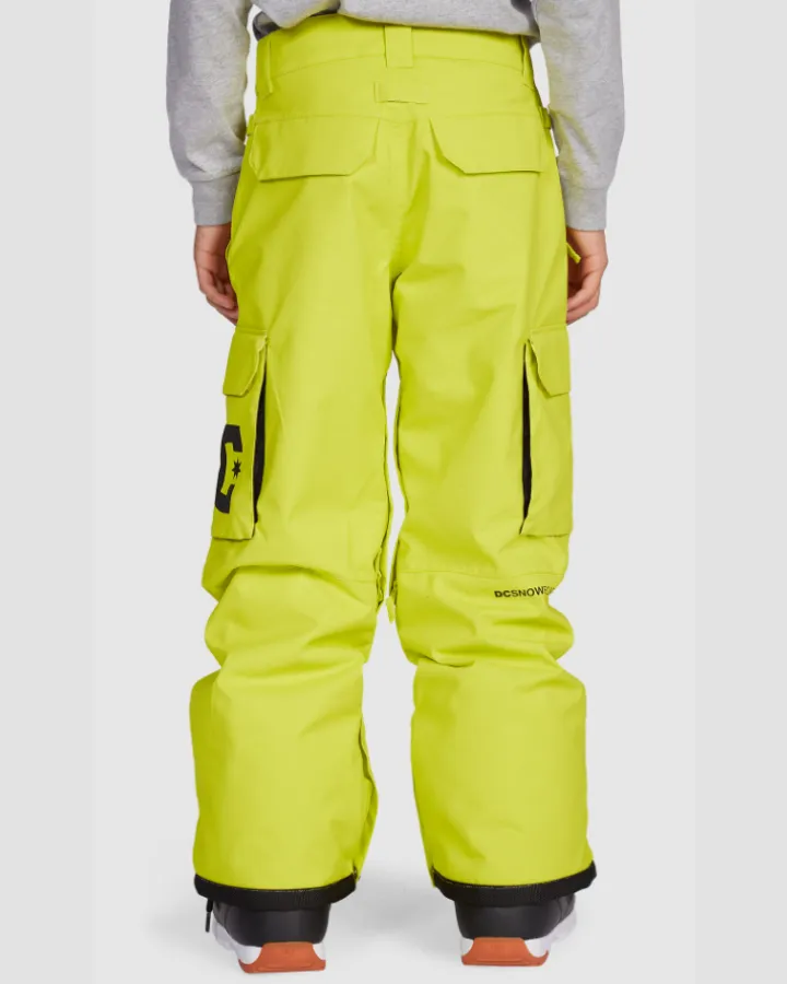 Dc Banshee Youth Pant - Sulphur Spring