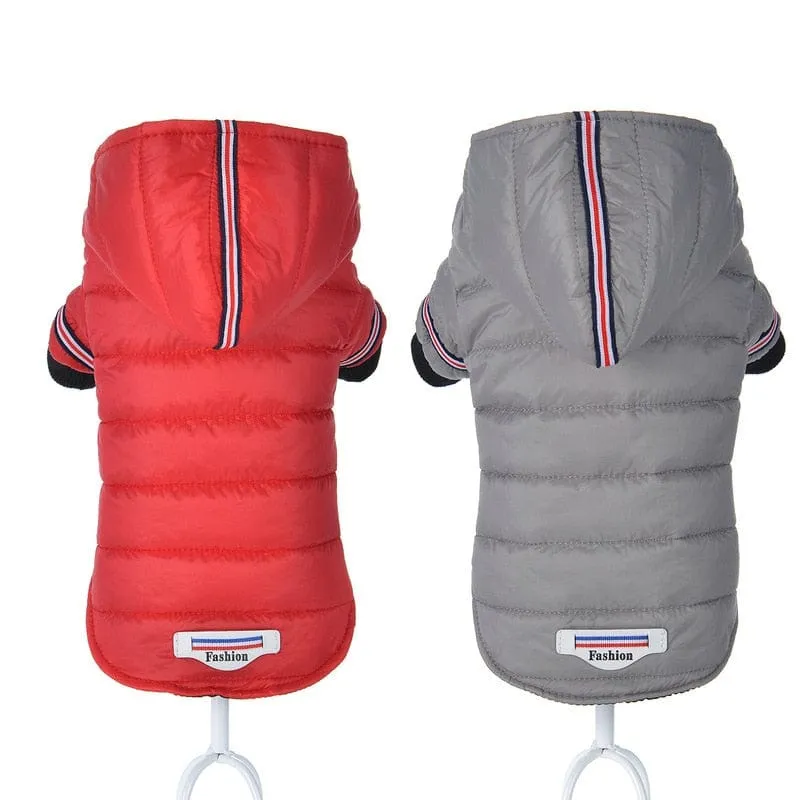 Fashion Puffer Dachshund Jacket