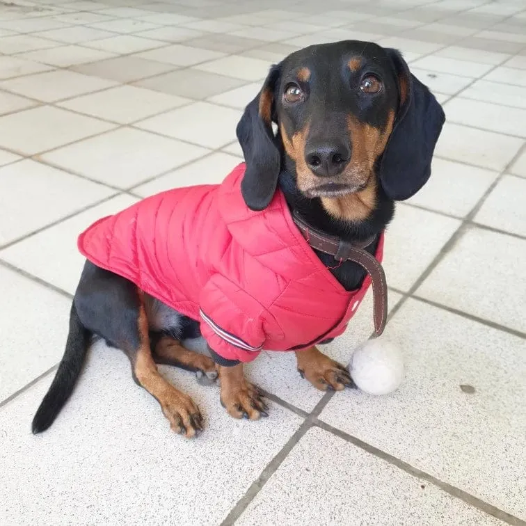 Fashion Puffer Dachshund Jacket