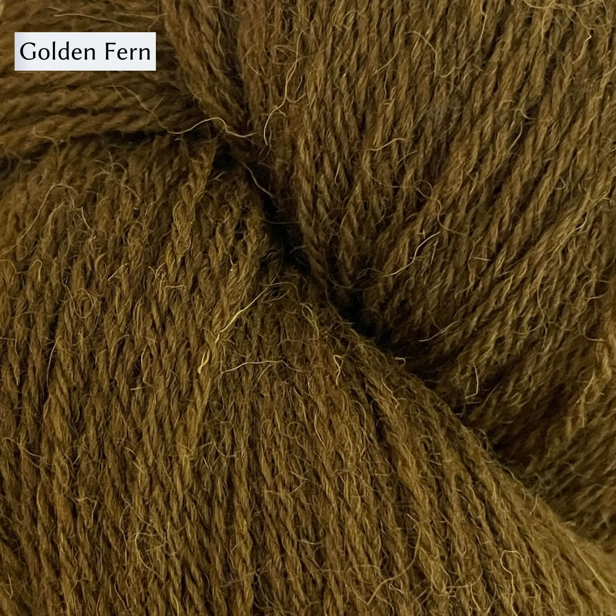 Golden Fern Socks by Fox & Folk in Rambler