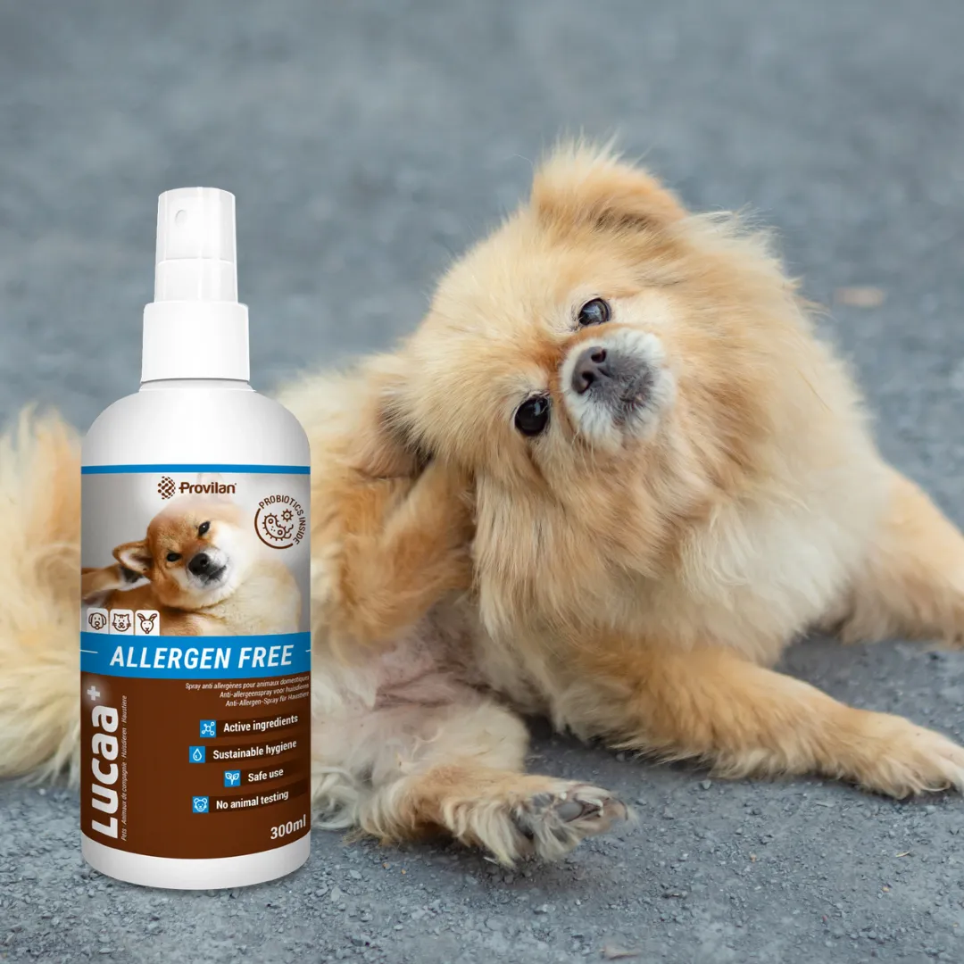 Probiotic Allergen Free Pet Spray | Provilan Lucca 