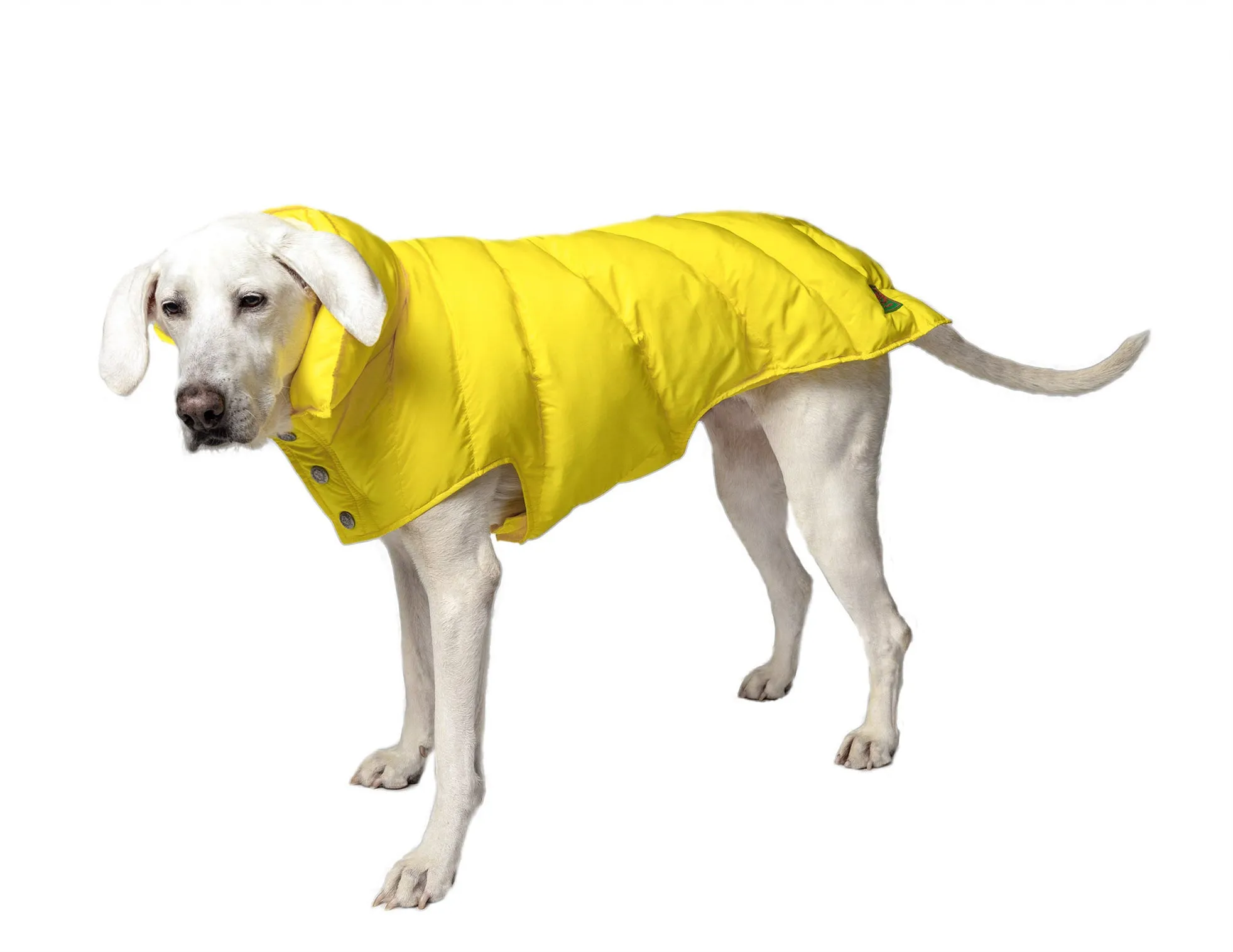 Puffer Coat (Synthetic Filled) | Yellow, Lime, Turquoise 3 Color Options