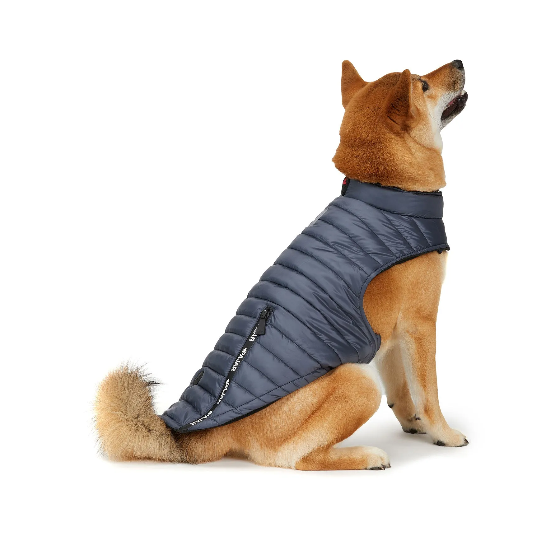 Spencer Jacket for Dogs